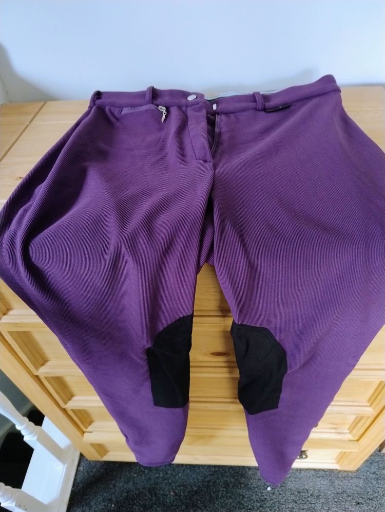 Other Purple Riding Breeches Pants product image